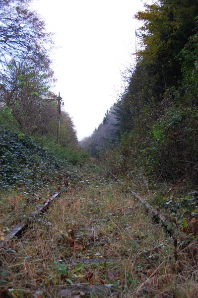 Einfahrsignal Bhf Gerichtsberg.
<br />HALT.