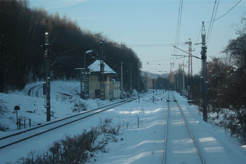 2010_11_30_0433 (Medium).JPG