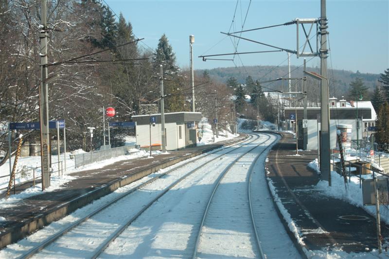 2010_11_30_0431 (Medium).JPG