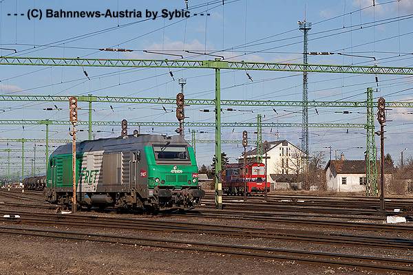 475 109 770 604 Rajka 12_02_2011.jpg