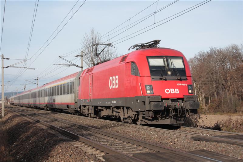 2011_11_26_4770 (Medium).JPG