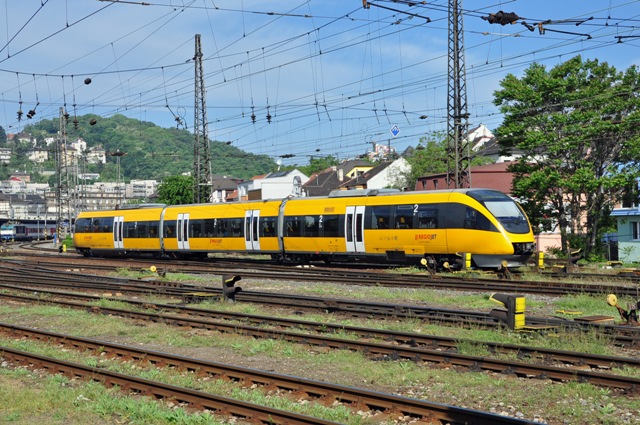 4377.jpg