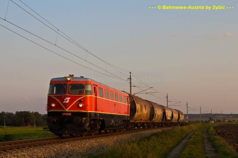 2050009.jpg