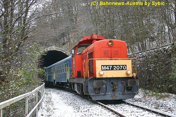 6545.jpg