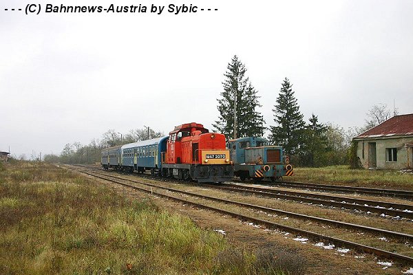 6582.jpg