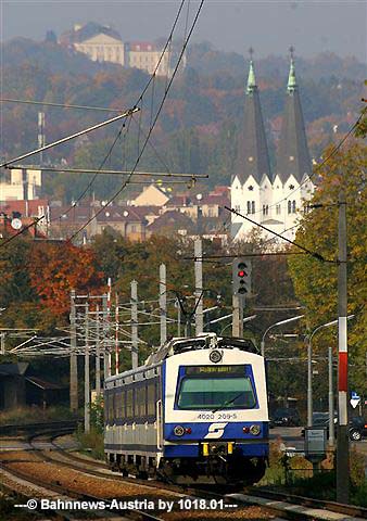IMG_6036-1.jpg