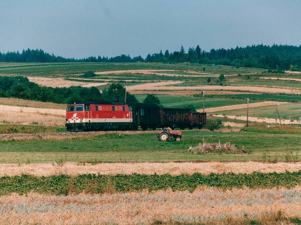 Bei Waldkirchen (Waldviertel).