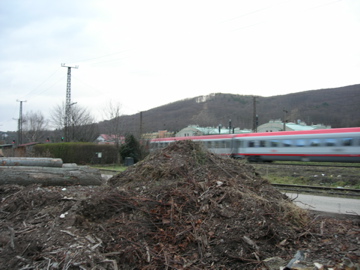 DSCN3605.jpg