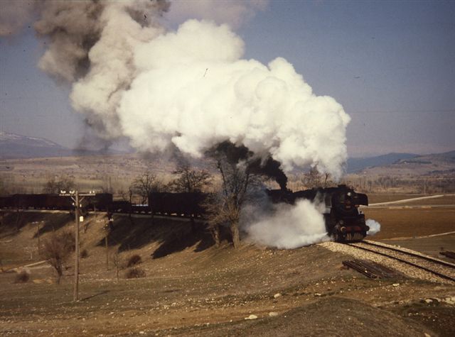 PICT0051-1.jpg