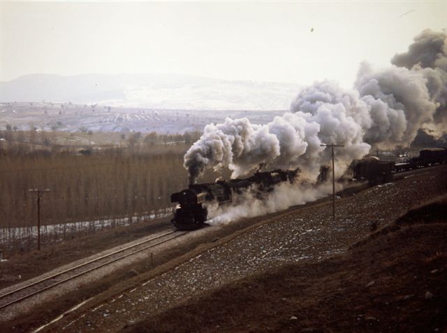 PICT0061-1.jpg