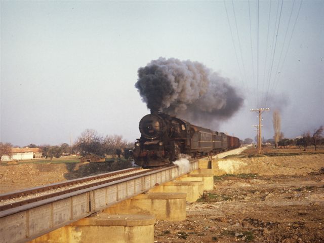 PICT0134-1.jpg
