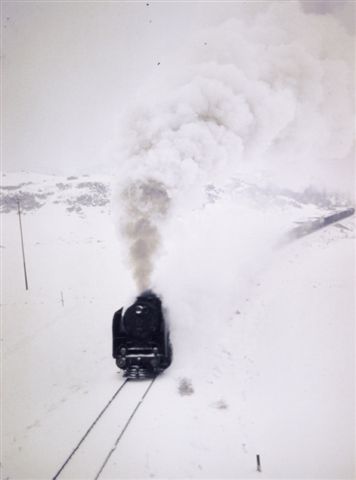 PICT0025-1.jpg