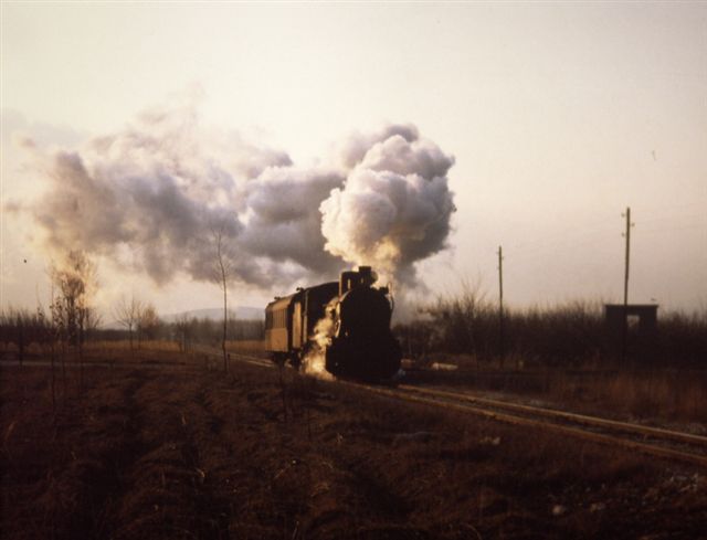 PICT0042-1.jpg