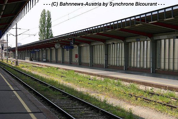 Unkraut Wb 20_04_2007.jpg