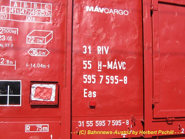 H-MAVC 3155 5957 595-8 (2).jpg