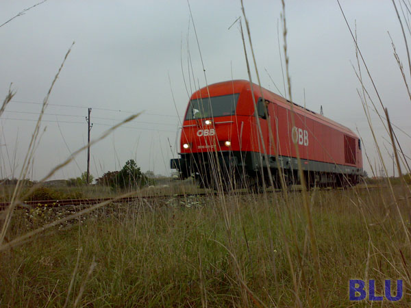 04102007139.jpg