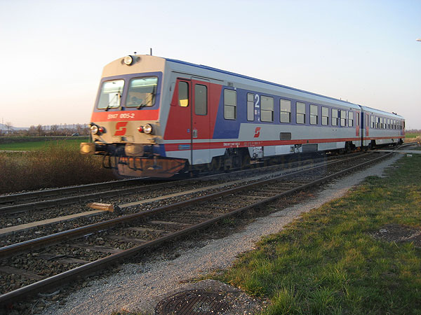5147_005.jpg