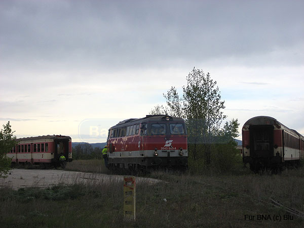 IMG_1055.jpg