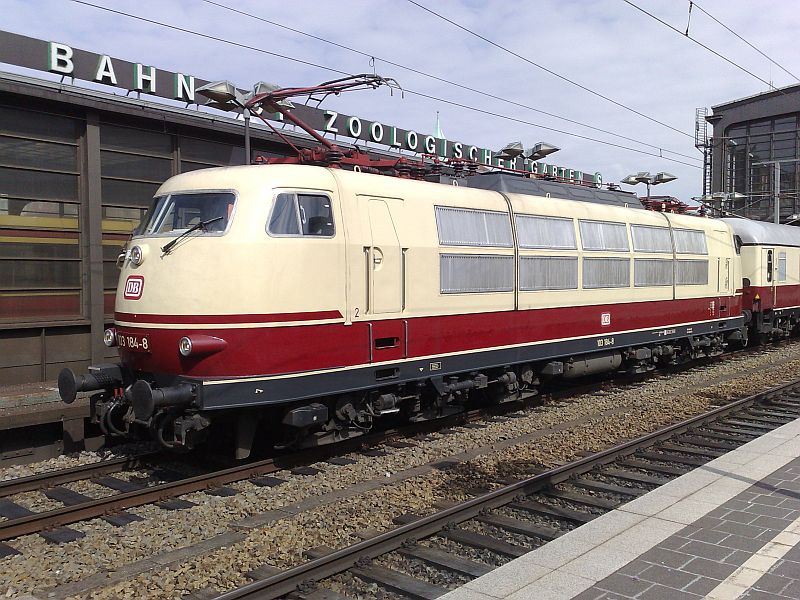 20.04.08,103 184-8,BZoo.jpg