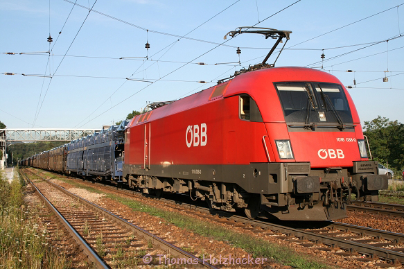 k-IMG_4981.jpg