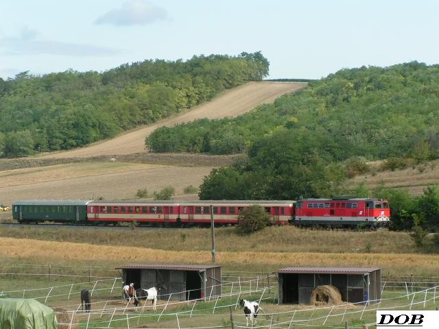 PICT1819.jpg sonderf.jpg