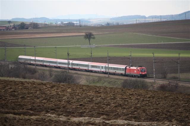 IMG_0050 (Small).JPG