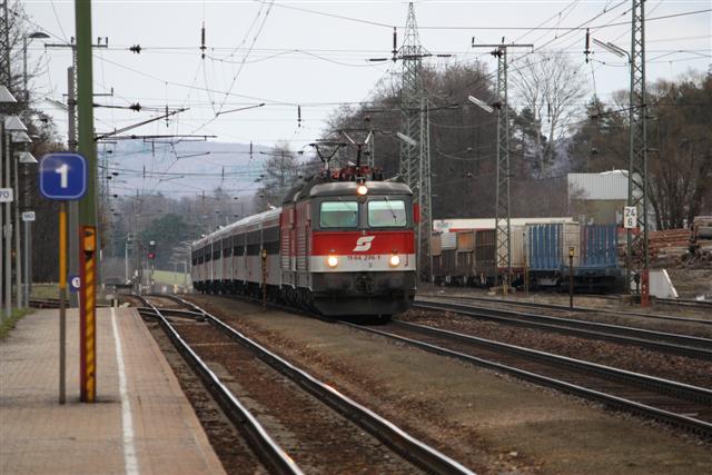 IMG_0137 (Small).JPG