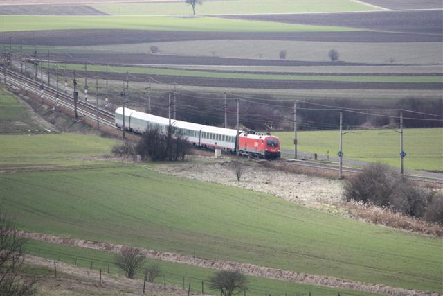 IMG_0091 (Small).JPG