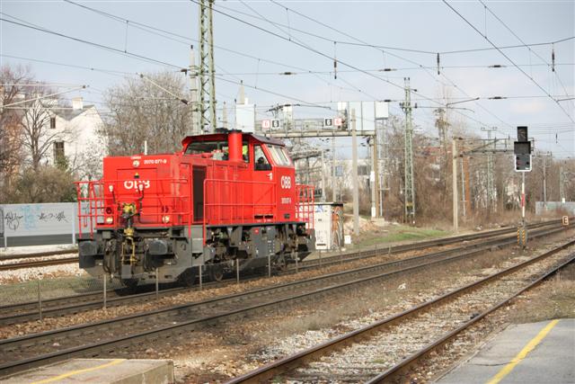 IMG_0297 (Small).JPG