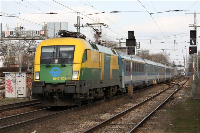 IMG_0279 (Small).JPG