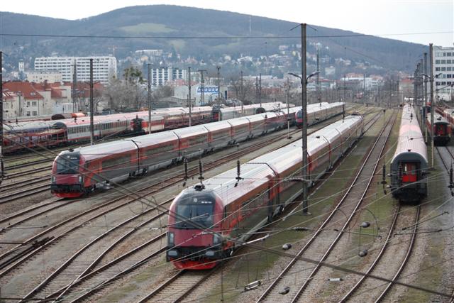 IMG_0194 (Small).JPG