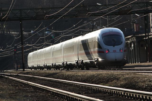 IMG_0503 (Small).JPG