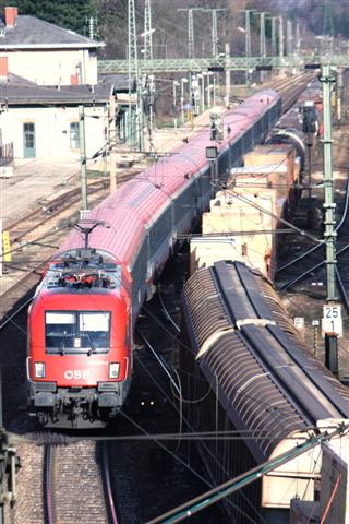 IMG_0480 (Small).jpg