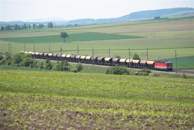 IMG_2321 (Small).JPG