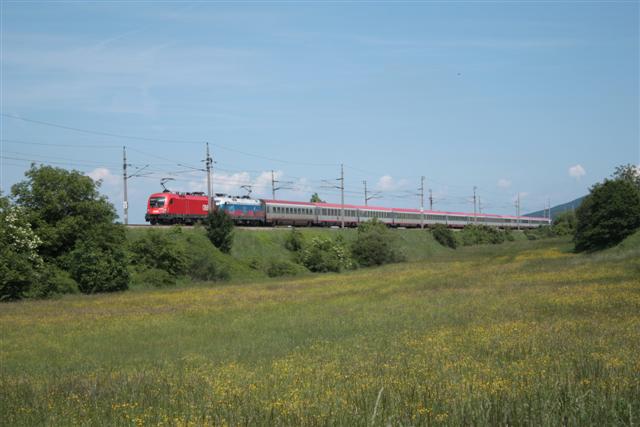 IMG_2311 (Small).JPG