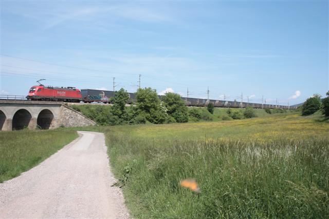 IMG_2303 (Small).JPG