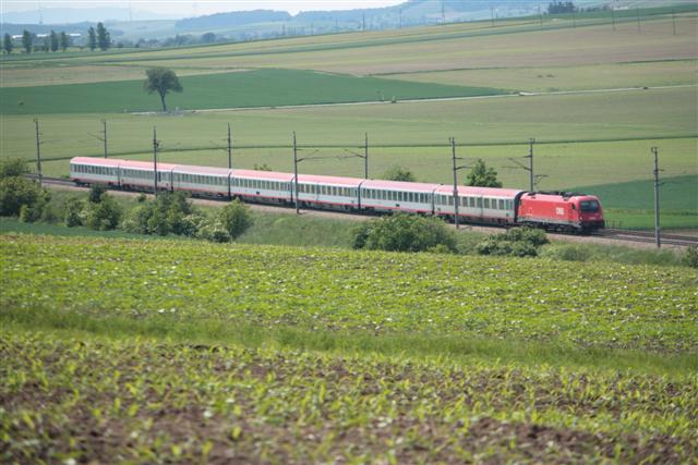 IMG_2335 (Small).JPG