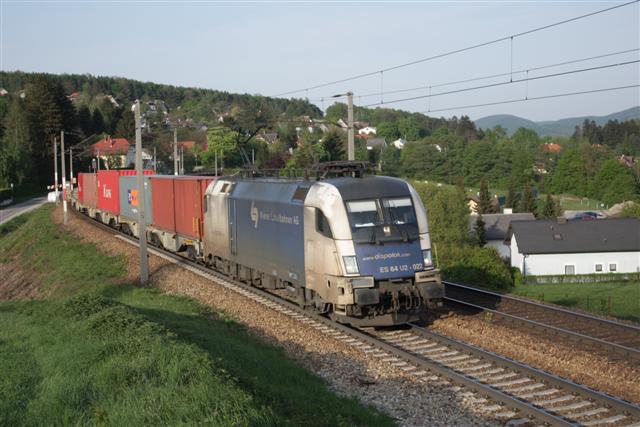 IMG_1804 (Small).JPG