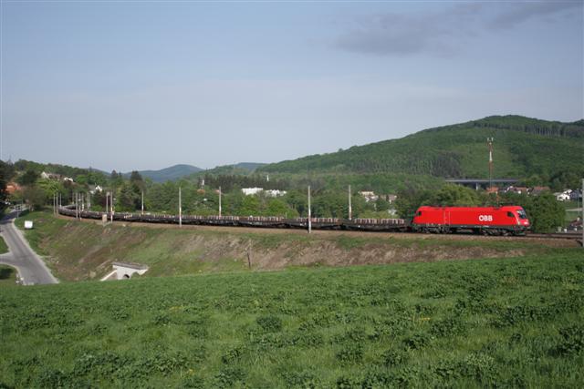 IMG_1784 (Small).JPG