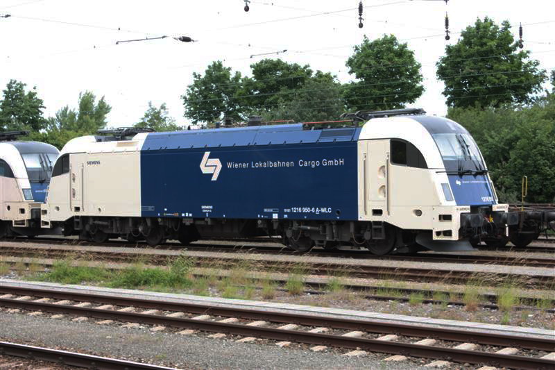 IMG_2628 (Medium).jpg