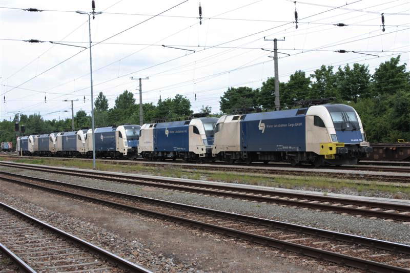 IMG_2627 (Medium).jpg