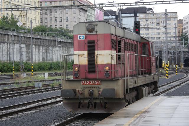 IMG_3607 (Small).JPG