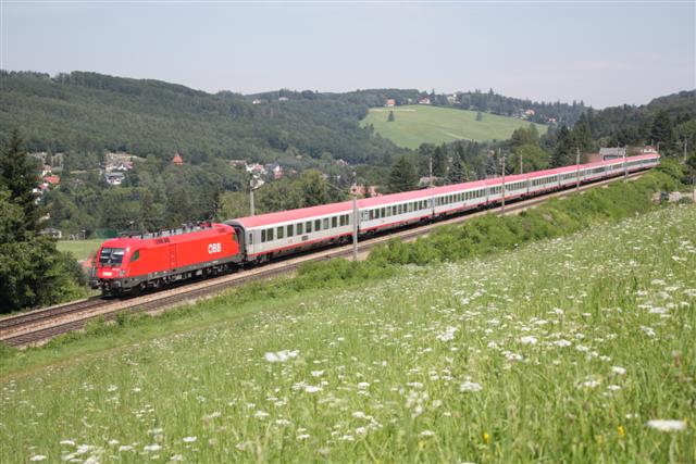 IMG_3672 (Small).JPG