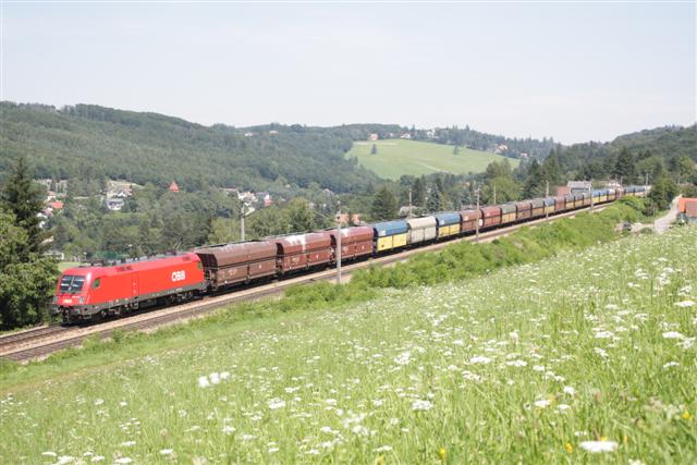 IMG_3665 (Small).JPG