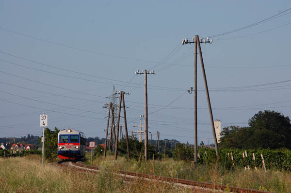 5047 006_1.jpg