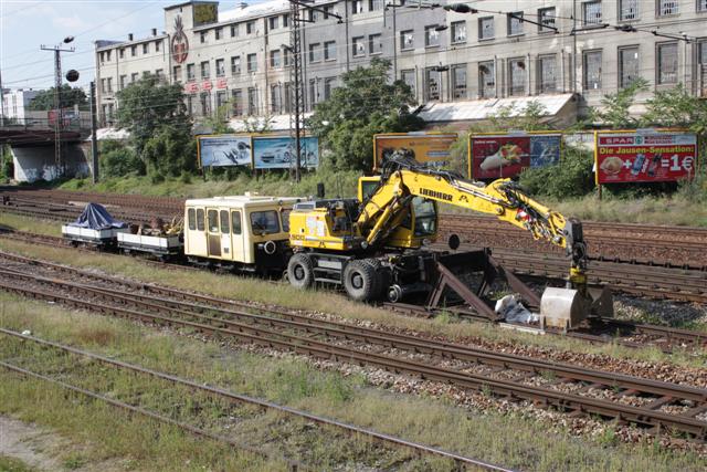 IMG_4156 (Small).JPG