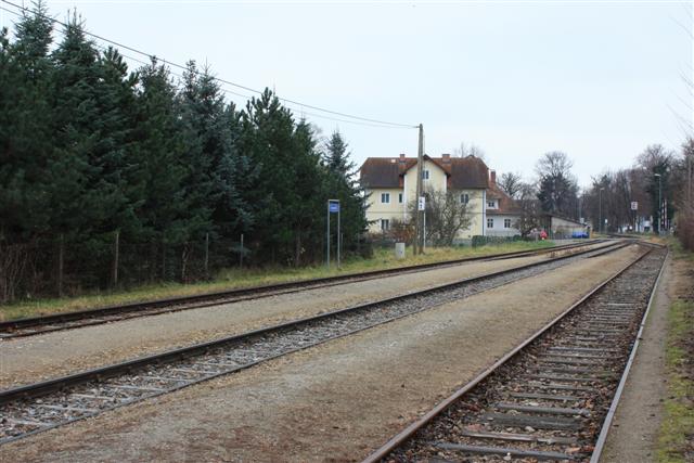 IMG_4845 (Small).JPG