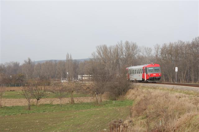 IMG_5056 (Small).JPG