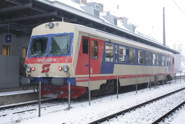 IMG_5198 (Small).JPG