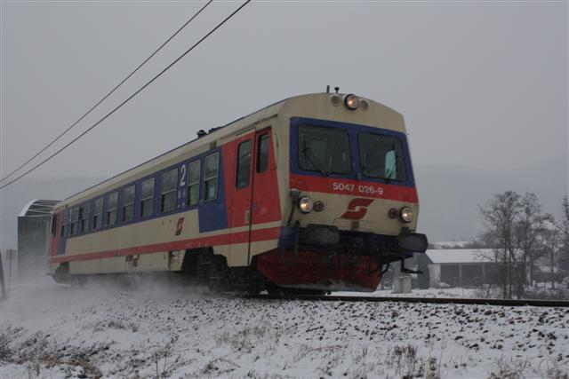 IMG_5164 (Small).JPG